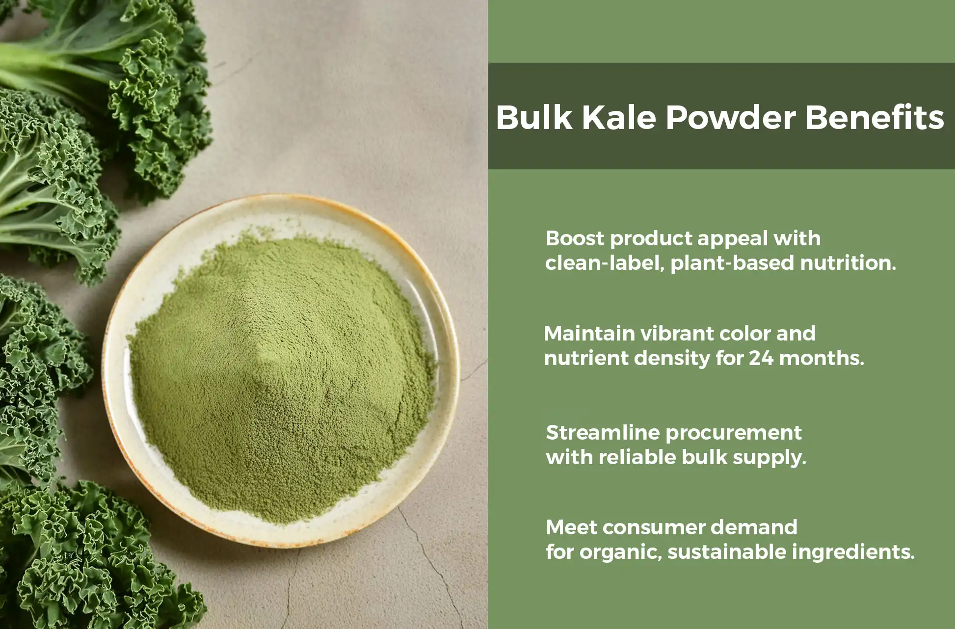 Bulk Kale Powder