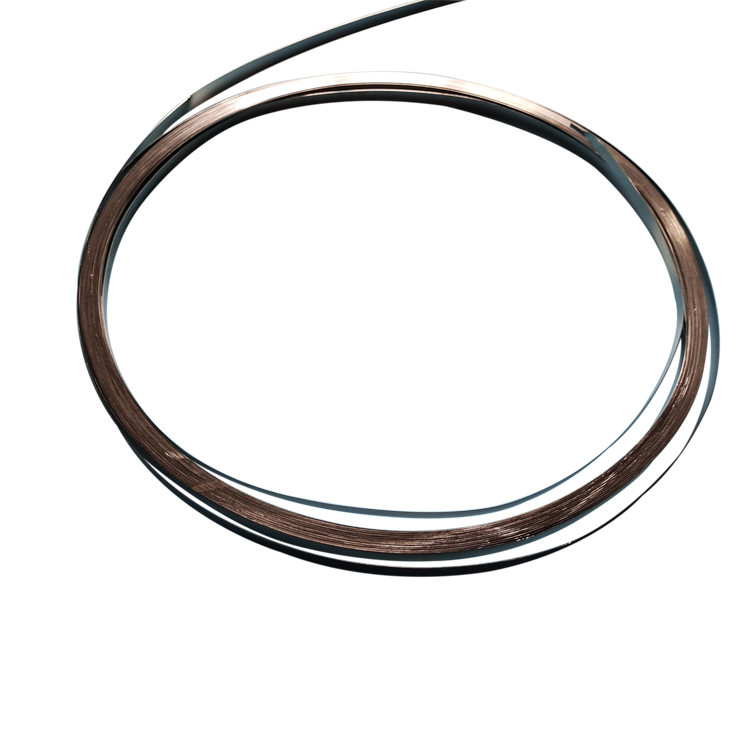 4J36 FeNi36 Alloy 0.4x211mm DIN17745 Wire Strip Bar 8.10g/cm Density for Precision Instruments