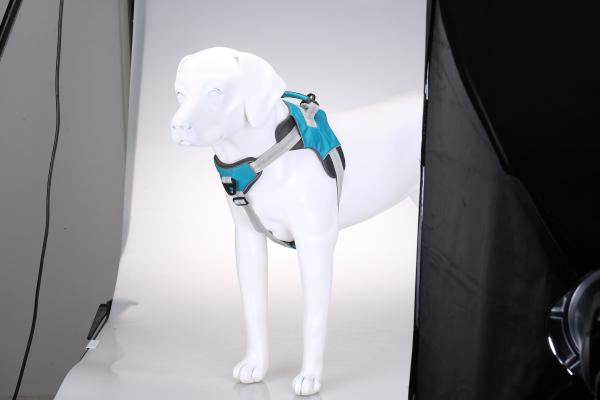 Supplier Selling New Design Anti-friction Dog Leash Sets Comfortable Vest For Large And Medium Size Pet Dog