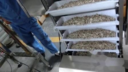1.1kw Stainless Steel Small Industrial Bucket Elevators For Packing Machine