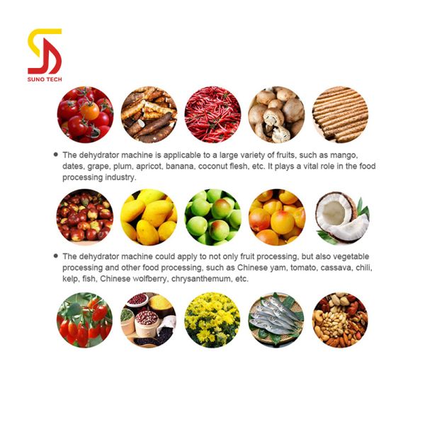 Batch Heat Pump Dehydration Equipment Spices Ginger Chili Peppers Garlic Dehydration Machine