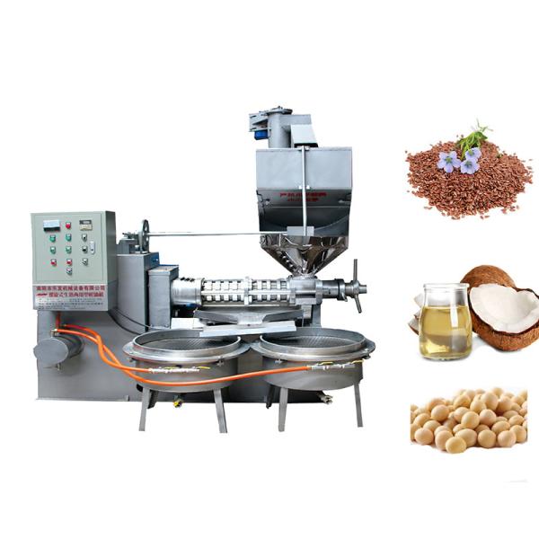 Cold Coconut Oil Processing Equipment 100 - 130 Squeeze Speed 1900kg Weight