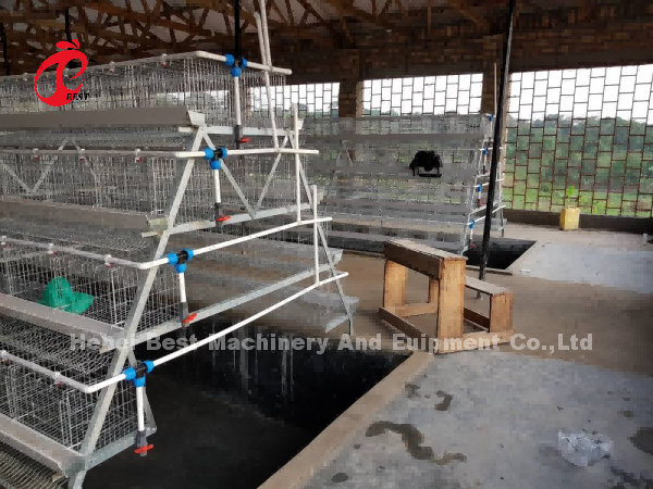 Система клетки батареи ячеистой сети автоматическая в птицеферме Mia Нигерии