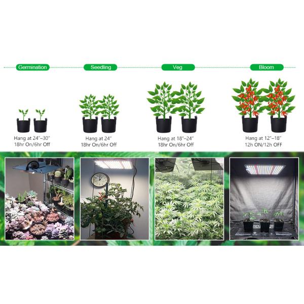 Sunlike Full Spectrum 240w Led Panel Grow Light For Hydroponic Indoor