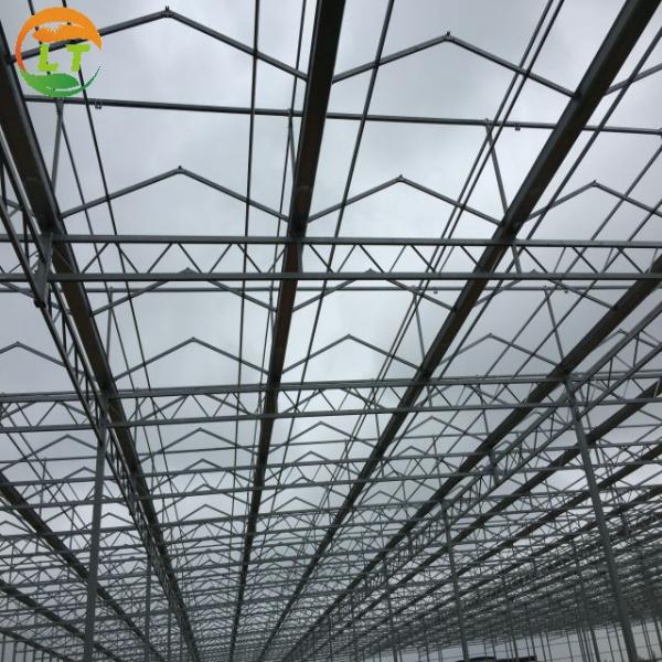 Multi-Span Agricultural Greenhouses with Hot Galvanized Steel Transparent Solar Panels