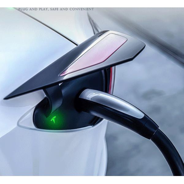RDC Hot Sales IP67 3.5KW 7KW Black Fast Portable EV Charger For Tesla EV Car Special Vehicle