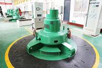 Fluxo personalizado 100kw~70mw do gerador de turbina de Kaplan hidro baixo