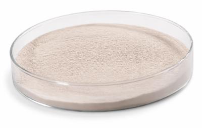 High-Activity Acid Protease Enzyme for Low-pH Protein Hydrolysis | Habio Acid Protease