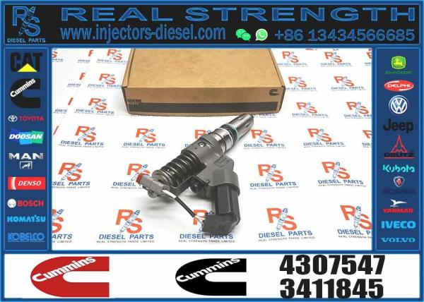 4307547 4061851 Ism11 Qsm11 Engine Fuel Injector For Excavator Diesel Engine Parts For Sale