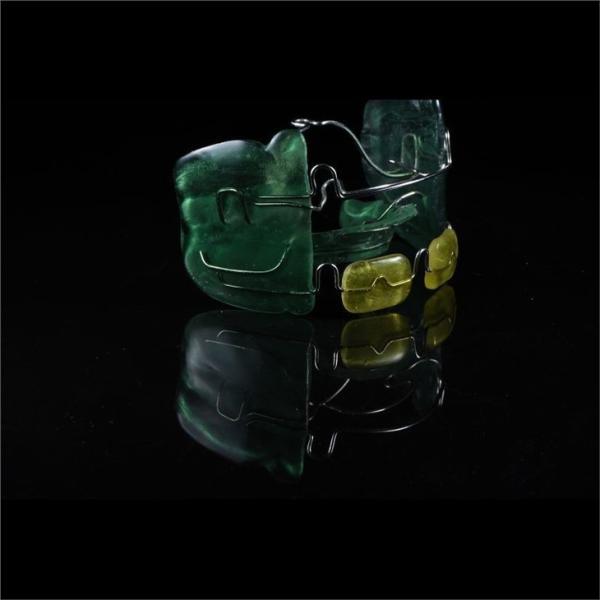 Customized Orthodontic Frankel Dental Device for Misaligned teeth