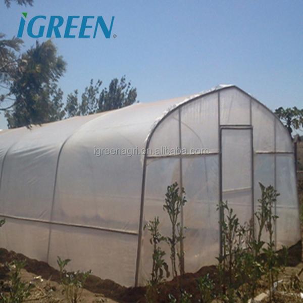Vegetable Single Span Greenhouse Customized Small Outdoor Greenhouses IGreen