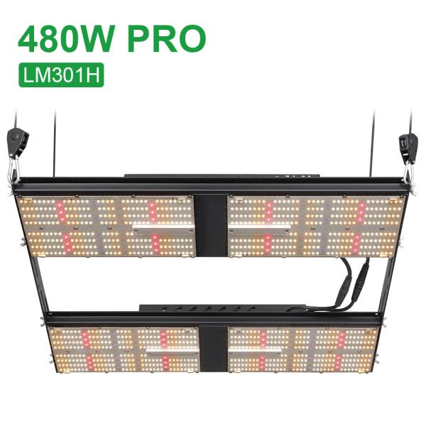 A placa VERMELHA UV HLG 240H Dimmable do quantum 480W do IR conduzido cresce clara