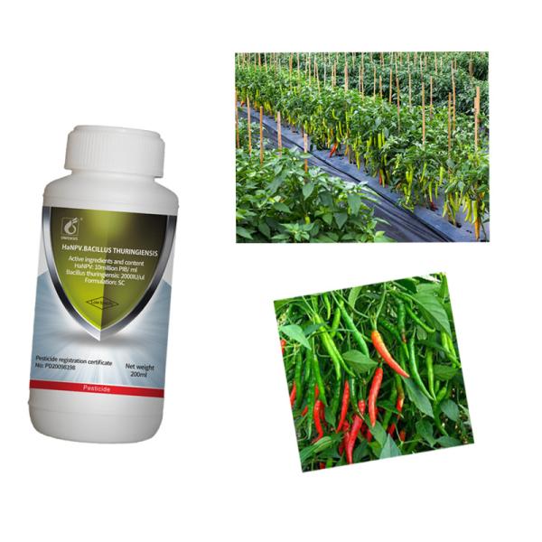 La elección más eficaz del pesticida biológico HaNPV Bt para cultivos de algodón