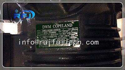 R22  Compressor D8sj-6000 Refrigeration Compressor Suppliers