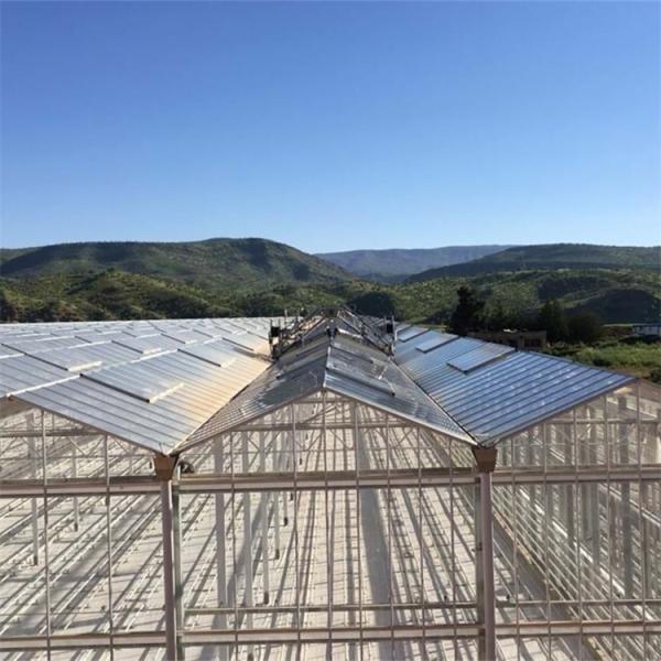 Multi-Span 4 Sunroom Теплица Venlo из закаленного стекла Полностью автоматизированная вентиляция