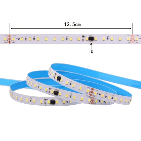 12/24V DC Input LED Strip Light With IP40 Or IP65 Waterproof 110-120lm/W 10W 240pcs Per Meter