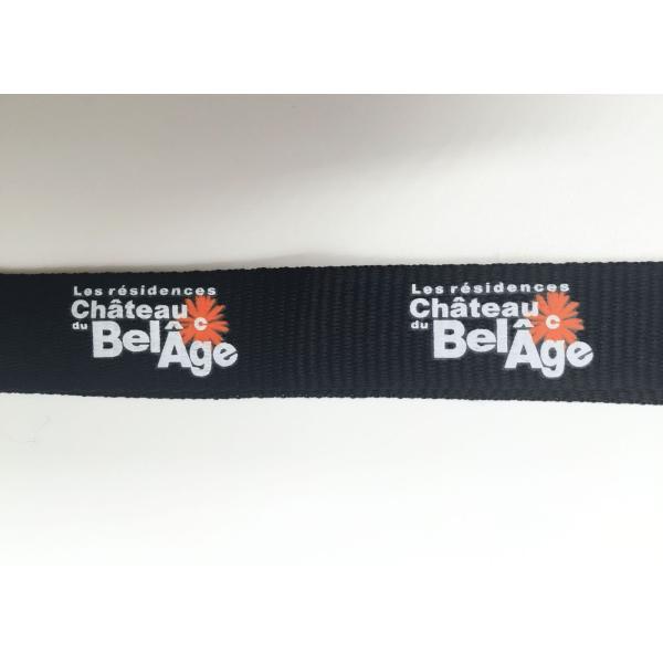 Trade Shows Silk Screen Lanyards , Royal Blue Lanyards With Customized Logo