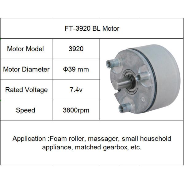 FT-3920 Custom DC Brushless Electric Motors , High Efficiency Brushless Motor 12V 24V