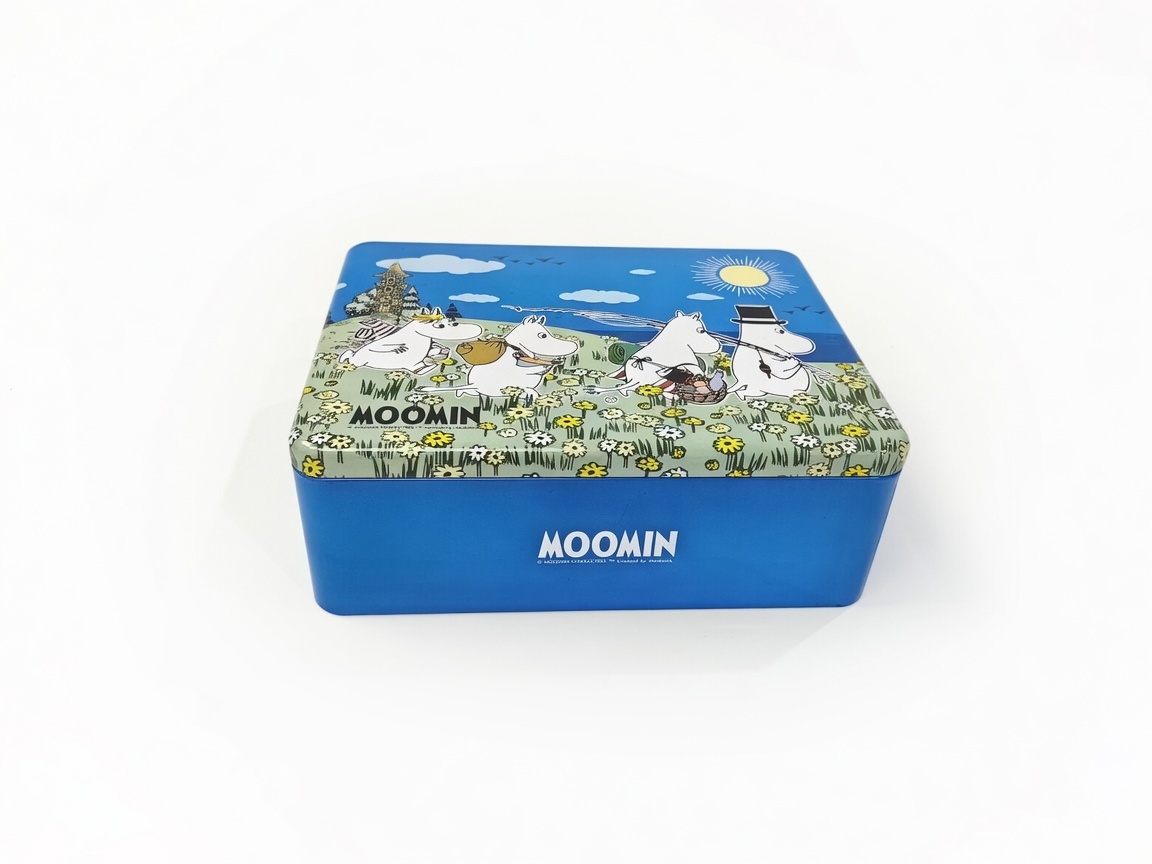 Customized Durable Rectangular Metal Storage Tin with Lid Canister for Cookies, Snacks, Kitchen Organization