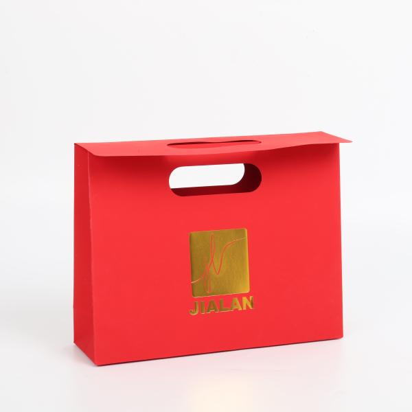 Jewelry Gift Paper Shopping Bag with Custom Logo and Hand Length Handle Luxury Design