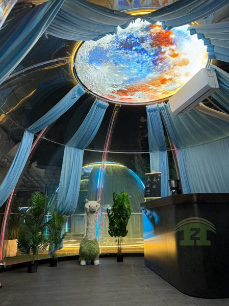 Modern Design Full House Prefab Outdoor Polycarbonate Clear Geodesic Bubble Dome Tent Hotel Dining Park-Green PC Houses Glamping