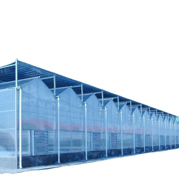 Transparent Polythene Tunnel Greenhouse for Growing Vegetables AGRICULTURE Instruction
