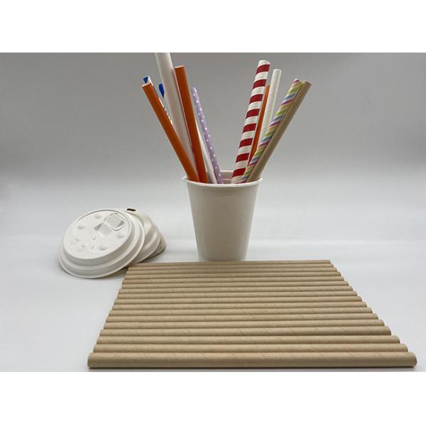 146×6mm Earth Friendly Paper Straws