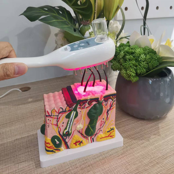 Máquina de tratamiento capilar para salón de belleza LLLT Peine láser portátil para el crecimiento del cabello
