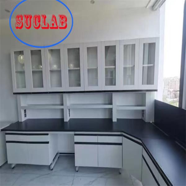 Modular Lab Furniture Suppliers Hong Kong Fast Installation and Stainless Steel for State-of-the-Art Labs