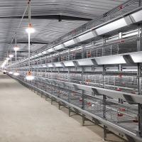 cage de poulet de batterie de 1480x1750x440mm