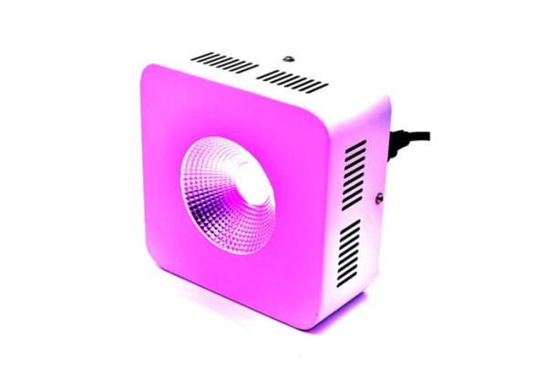600mA COB Full Spectrum LED Grow Lights 300 W Dustproof 50,000 Hours Lifespan