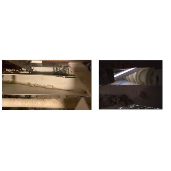 High Quality Full Automatic Poultry House Machinery with Corrosion Resistant Hot Dip Galvanised Steel and Automatic Feeding System