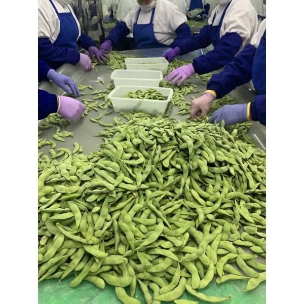Японский стиль слез сои замороженных фасолей Edamame замороженные