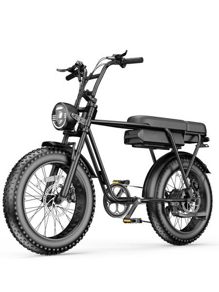 Max Speed 30-50Km/h Disc Brake Electric Fat Tire Bike 48V 400W Motor Ebike