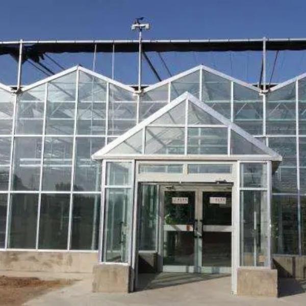 Juxiang folha PC Board Greenhouse para sistemas de cultivo hidropônico morango personalizado