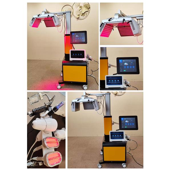 650nm 6 In 1 Laser Hair Growth Device For Scalp Care / Hair Regeneration