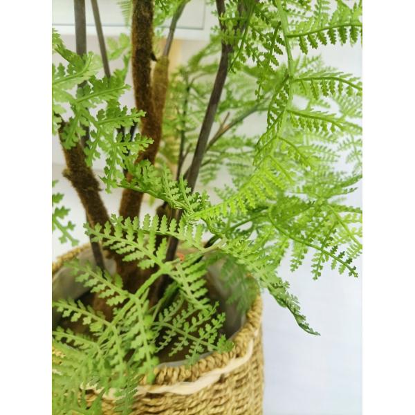 Lifelike зеленый искусственный тропический завод для папоротника Бостон оформления таблицы офиса