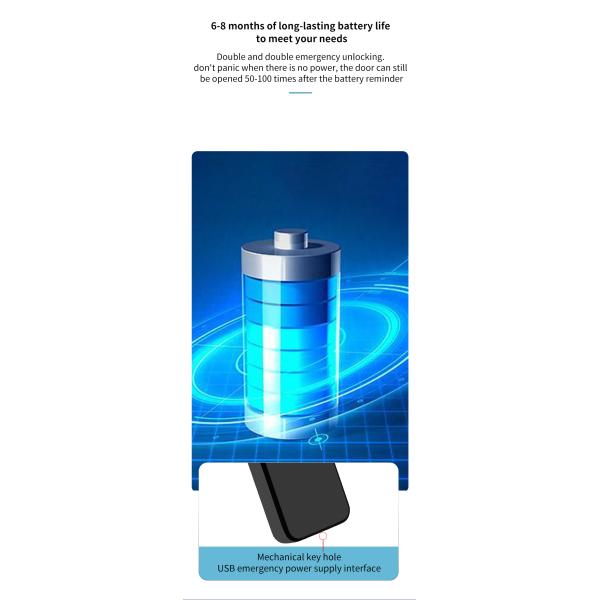 Алюминиевый Туя Умный замок отпечатков пальцев Черный Замок гостиничного номера Электронные дверные замки