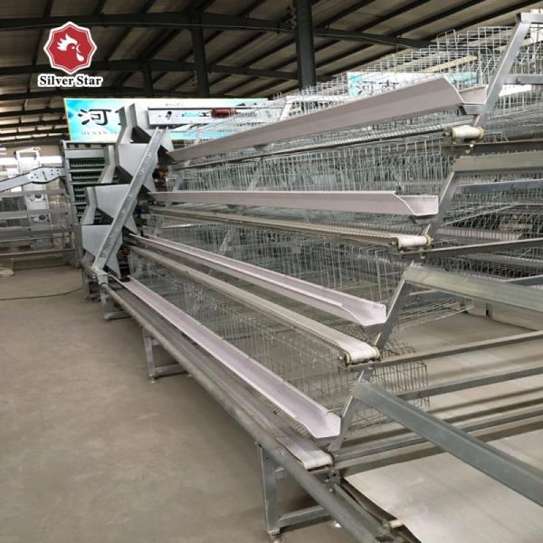 Bateria automática galvanizada de 4 camadas Aves de aves de capoeira Caixa de frango Equipamento de cultivo de camadas de frango para venda