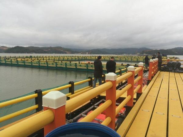 Las medidas previstas en el presente Reglamento se aplicarán en el caso de los buques de pesca de la categoría A, B o C y en el caso de los buques de pesca de la categoría B o C.