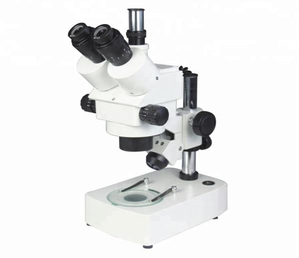 Stereo Microscope