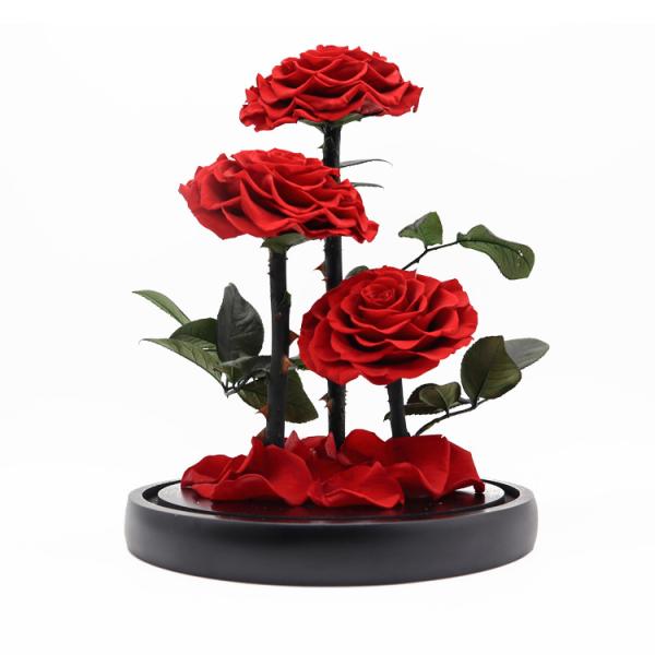 Real Touch Eternal Preserved Rose Glass Dome For Valentines Day Gift