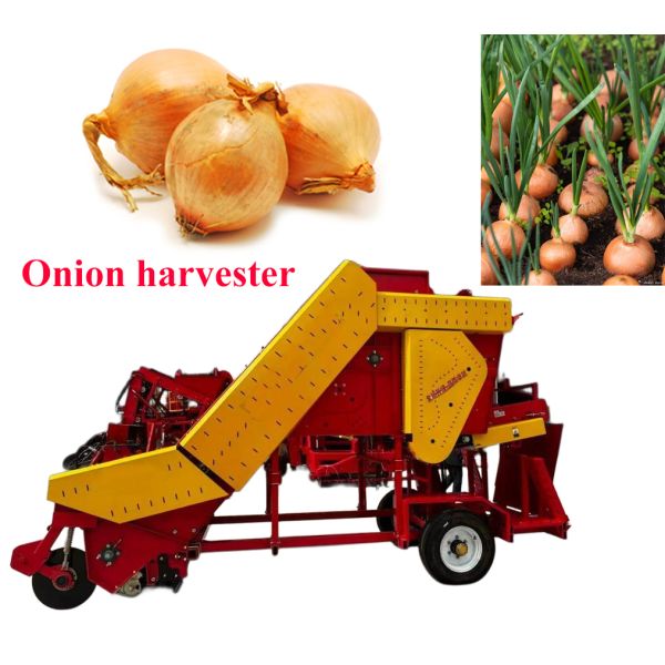 onion harvesting machine harvester
