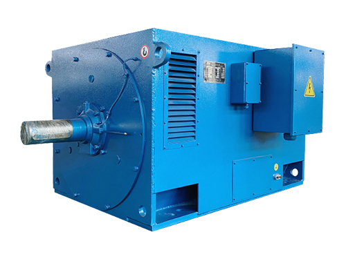 50Hz  High Voltage Electric Motor 6KV 10KV Asynchronous Three Phase Motor
