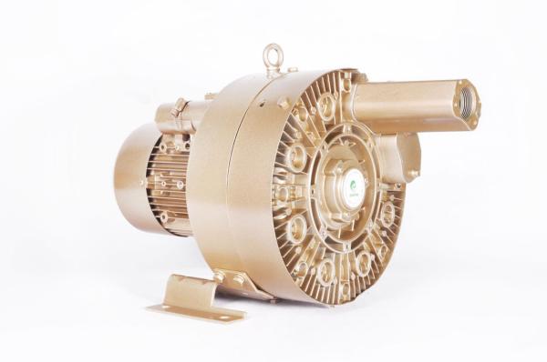 Ring 1.5kw Side Channel Vacuum Pump For Central Vacuum Systems 2 Stage GHBG 002 12 2R3
