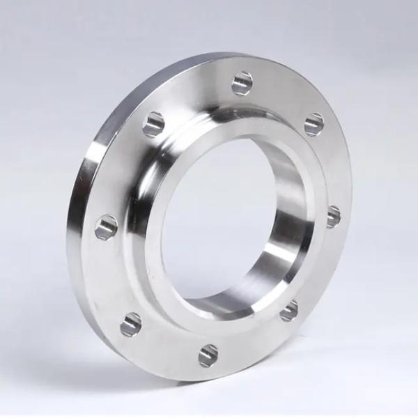 Stainless Steel 1 2 3 4 5 6 8 12 Inch Pipe Flange for Pharmaceutical Industries
