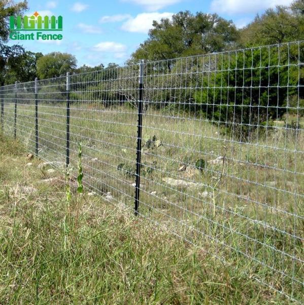 Dog Playpen Chain Link Fence Chew-Proof Edging