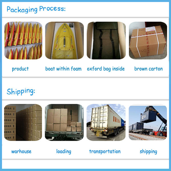 HYZ Sea Fishing Rod GPS Tracking RC Bait Boat for Sales