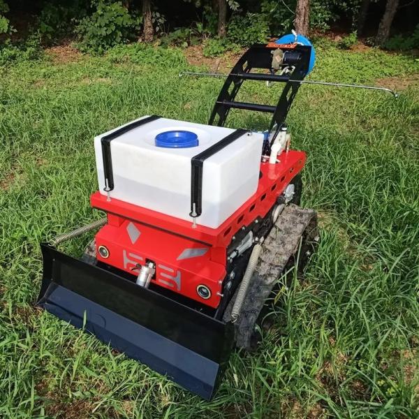 Weed Remover Agricultural Lawn Mower TUV Walk Behind Mower 550mm