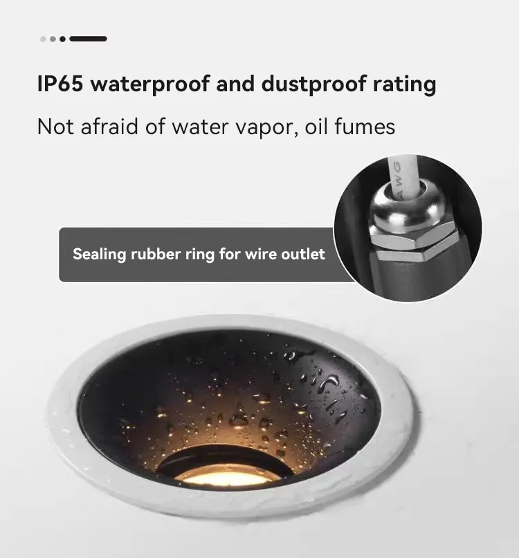 IP65 0-10V 2700K-6000K Tunable Triac Dali-2/Dali Dt6 Dt8 Waterproof LED Down Light for Bathroom